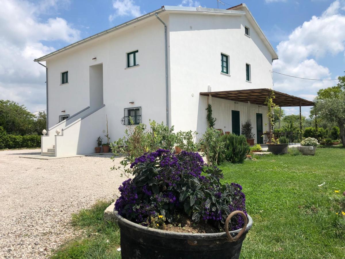 Casa Agricola Scorziello Villa Serre  Exteriör bild