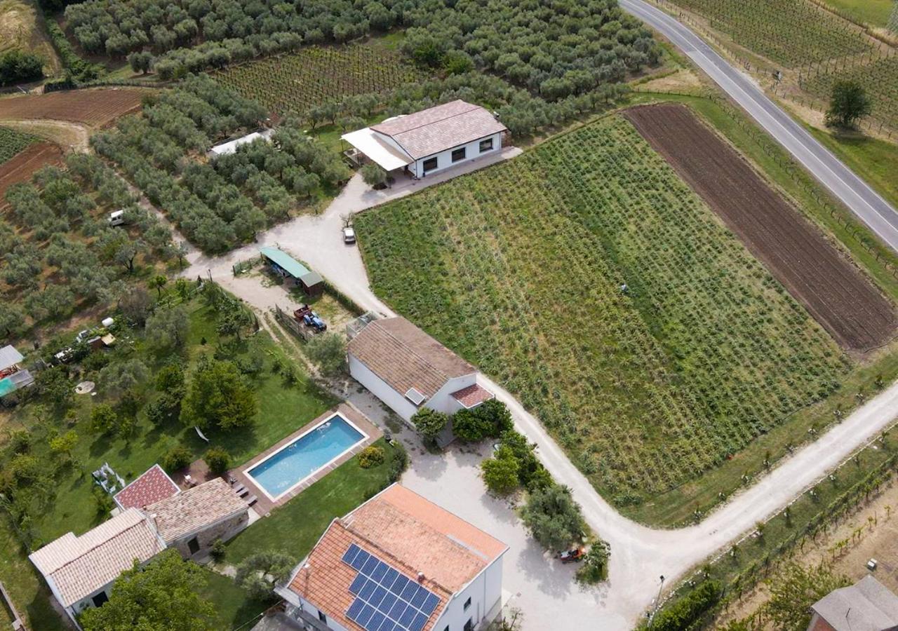 Casa Agricola Scorziello Villa Serre  Exteriör bild